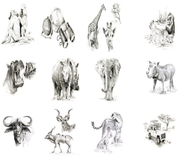 Learn To Sketch 12 African Animals Artist Book Drawing Pencil Set Skb1