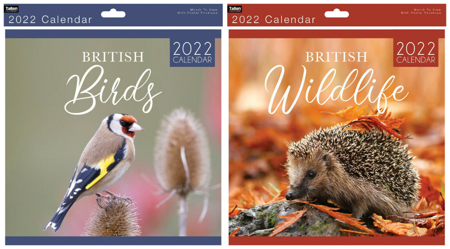 2022 British Garden Birds & Wildlife Hanging Year Calendar